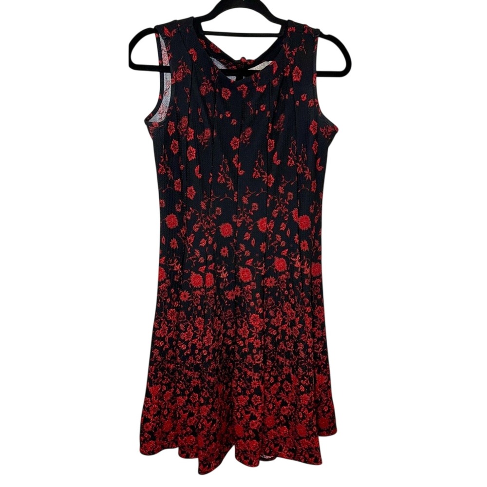 Haani Black Red Floral Whimsigoth Grunge Dark Academia Fairy A-Line Dress Sz PS